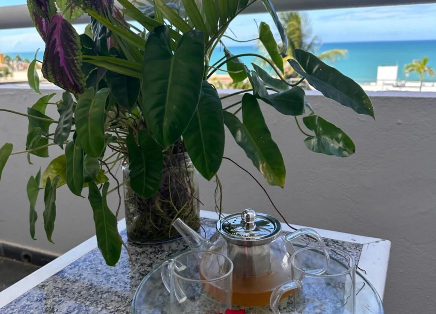 Bela Vista Praia Hotel 纳塔耳